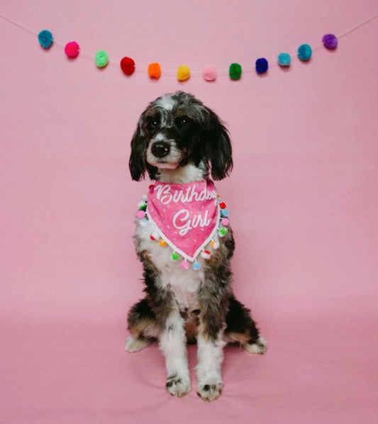 Creative Ideas For Your Dog's Birthday - LunaMarie