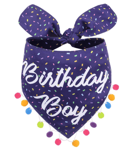 Birthday Boy Bandana - LunaMarie